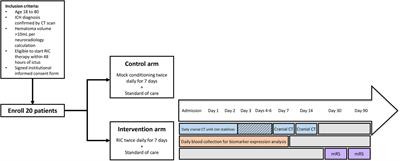 Pilot Study of Remote Ischemic Conditioning in Acute Spontaneous Intracerebral Hemorrhage